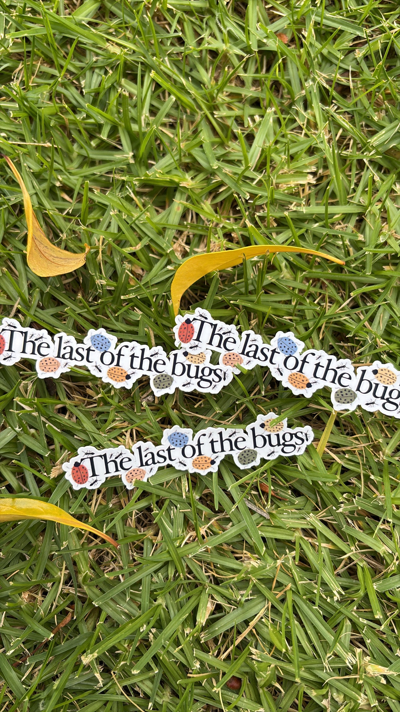 Last Of The Bugs Sticker