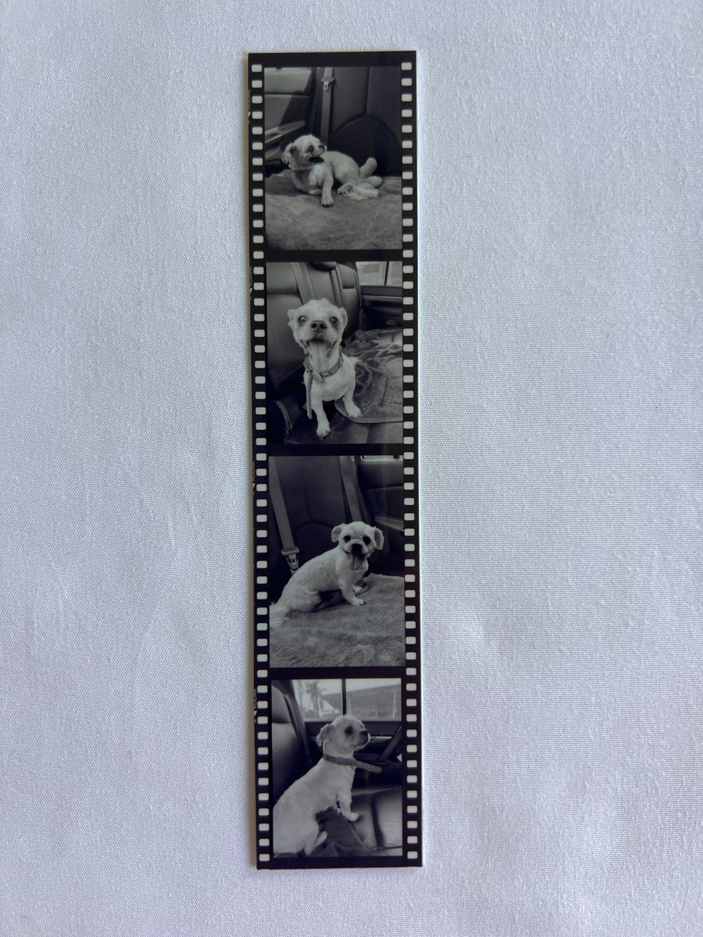 Personalised Photo Strip Sticker