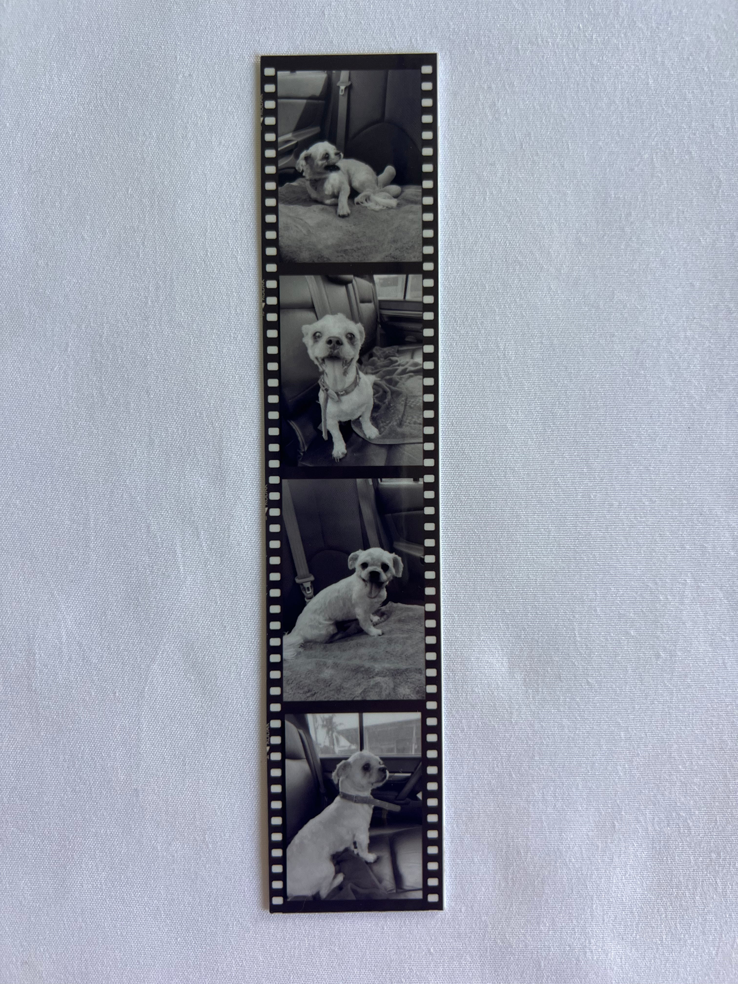 Personalised Photo Strip Sticker